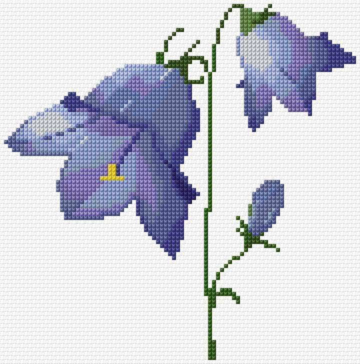 Bellflower free cross-stitch pattern