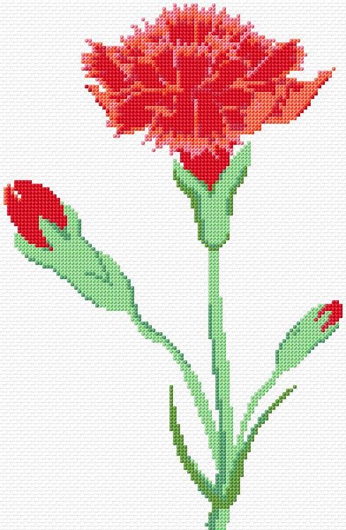 Carnation free cross-stitch pattern
