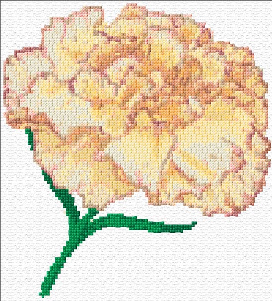 Carnation free cross-stitch pattern