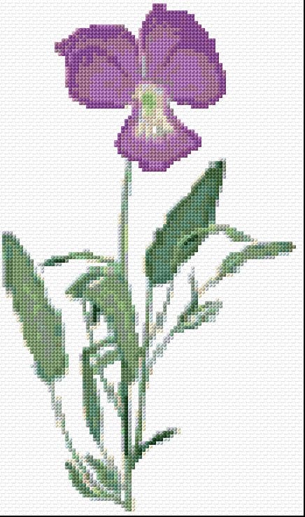 Violet free cross-stitch pattern