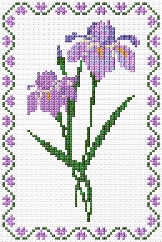 Iris free cross-stitch pattern