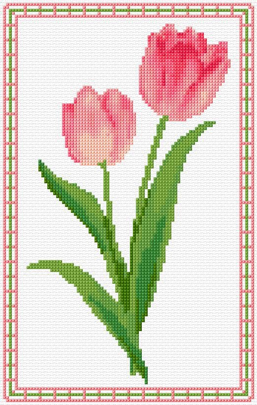 Tulips free cross-stitch pattern