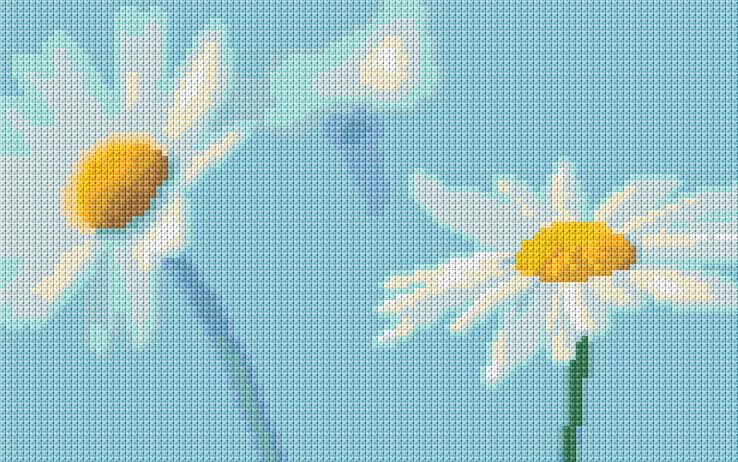 Chamomiles free cross-stitch pattern