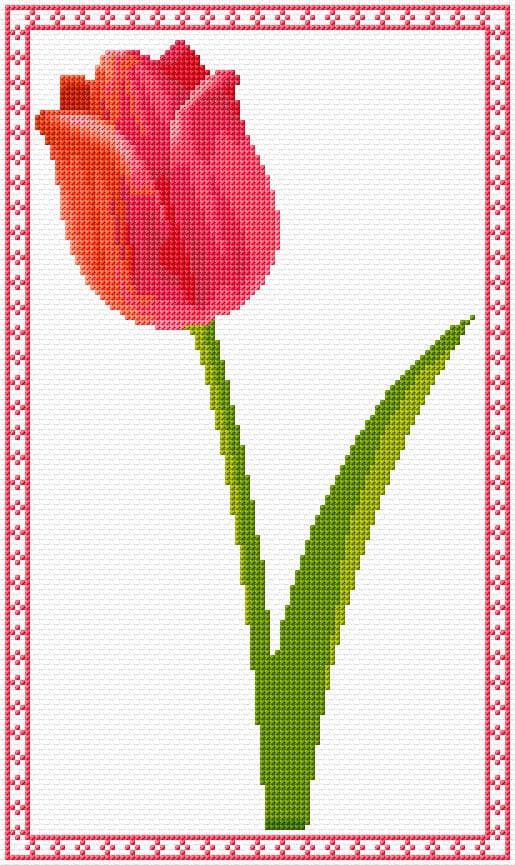 Tulip free cross-stitch pattern