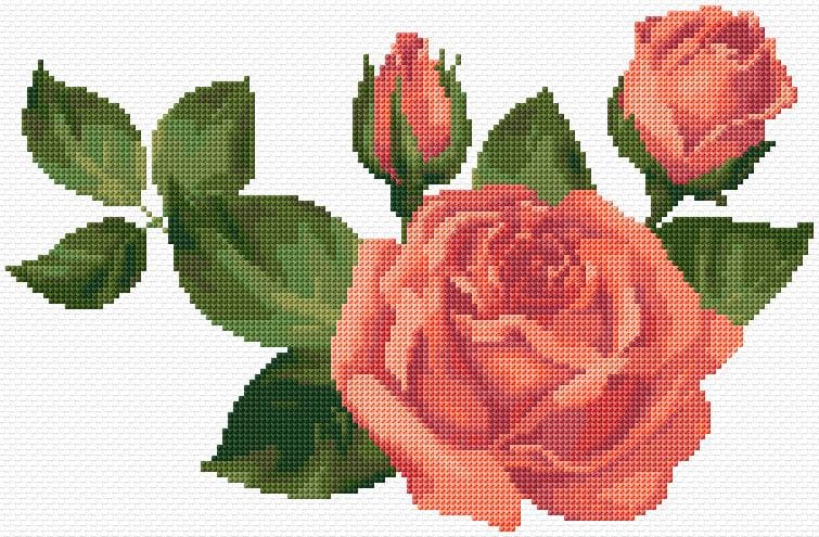 Roses free cross-stitch pattern