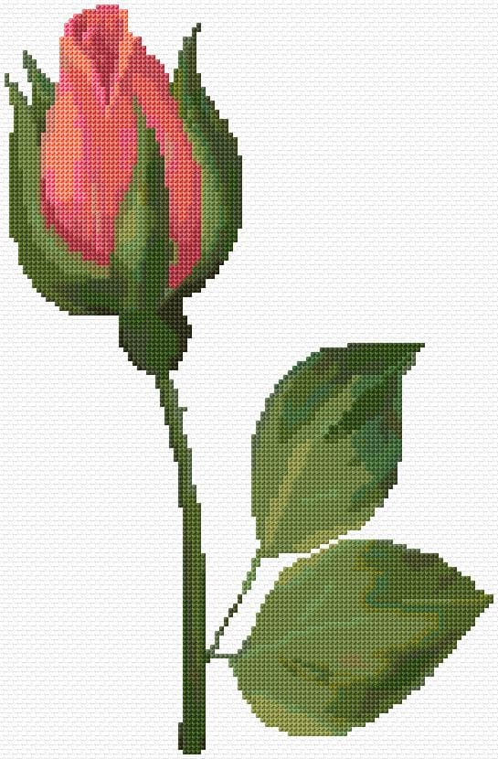 Rosebud free cross-stitch pattern