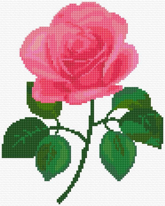 Rose free cross-stitch pattern