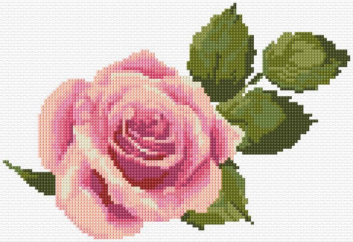 Rose free cross-stitch pattern