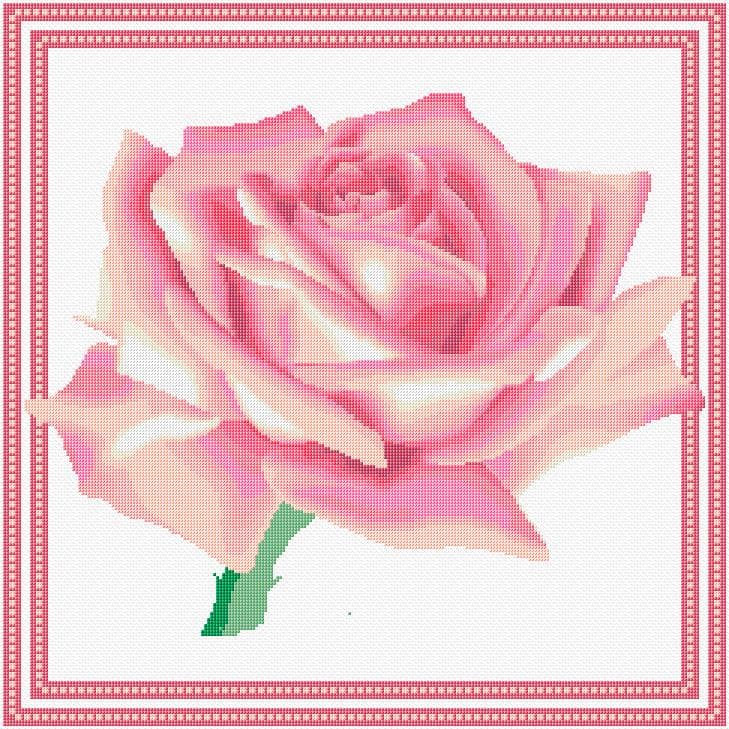 Rose free cross-stitch pattern