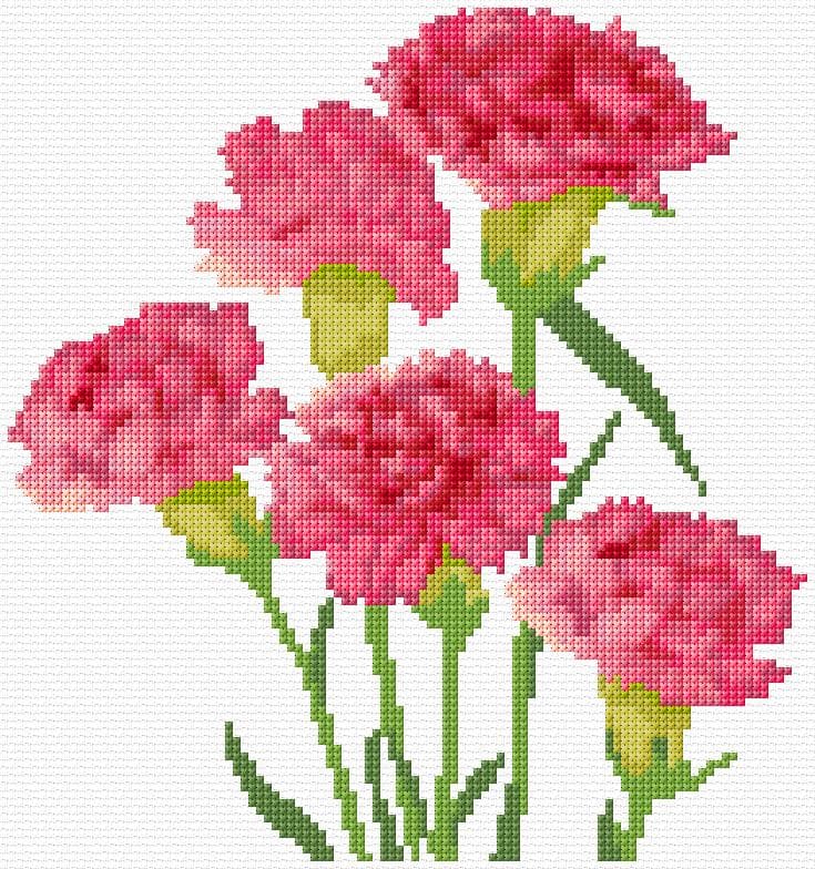 Carnations free cross-stitch pattern