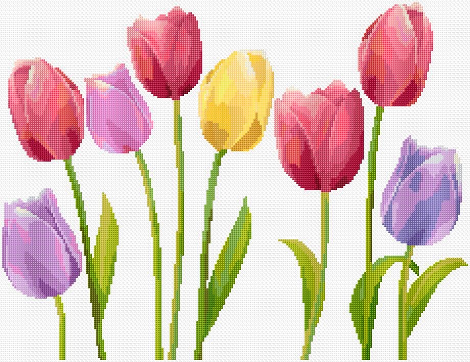 Tulips free cross-stitch pattern