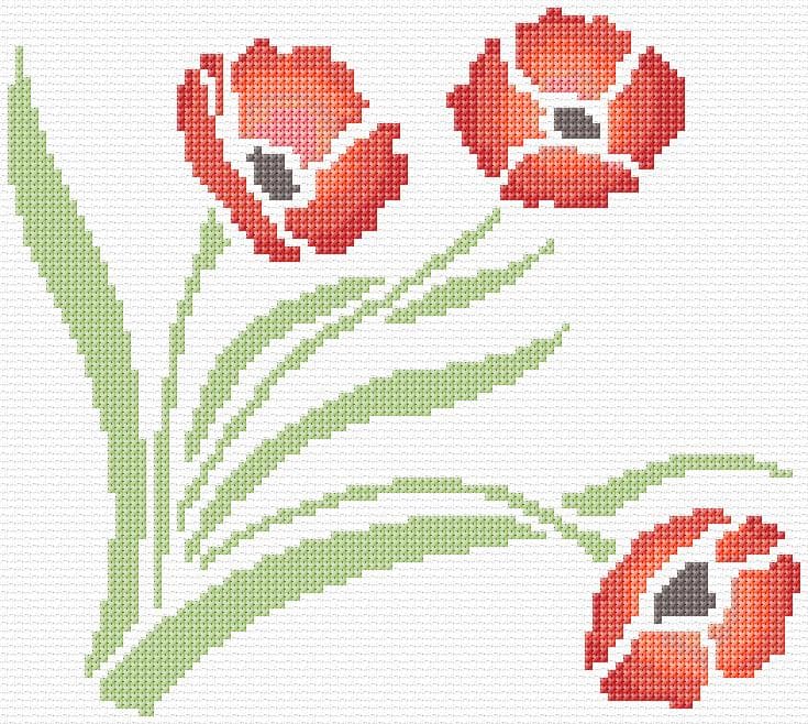 Poppy free cross-stitch pattern