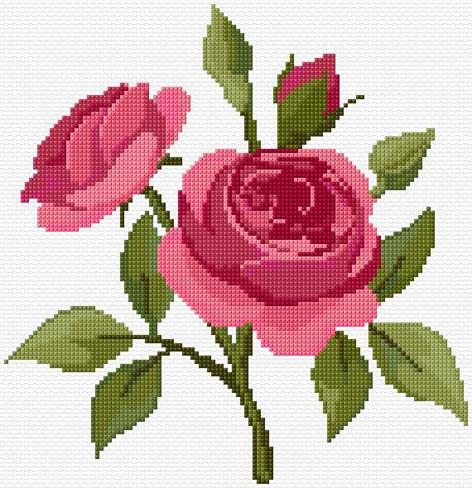 Roses free cross-stitch pattern