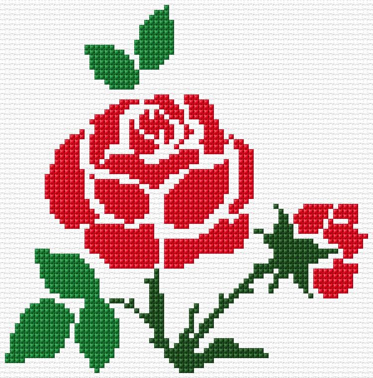 Rose free cross-stitch pattern