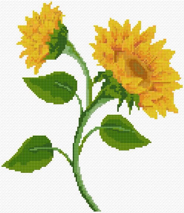 Sunflowers free cross-stitch pattern