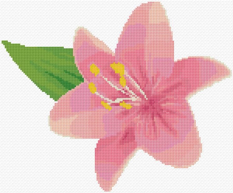 Flower free cross-stitch pattern