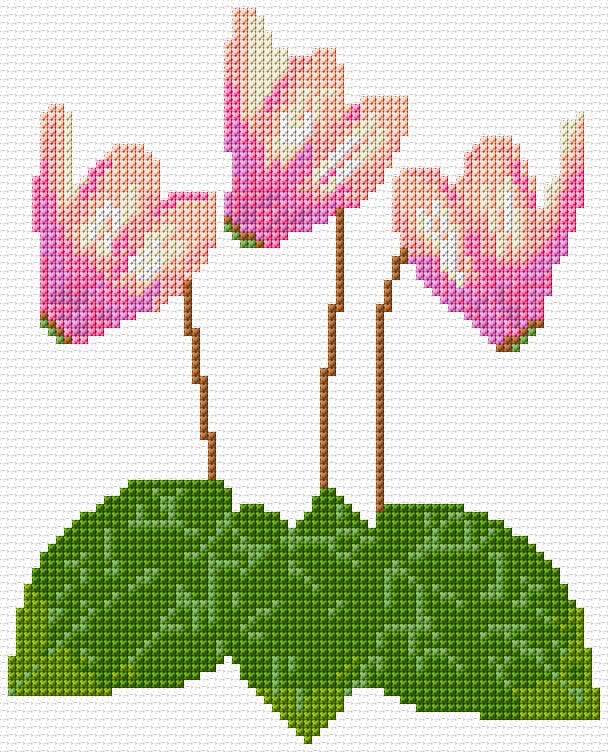Cyclamen free cross-stitch pattern