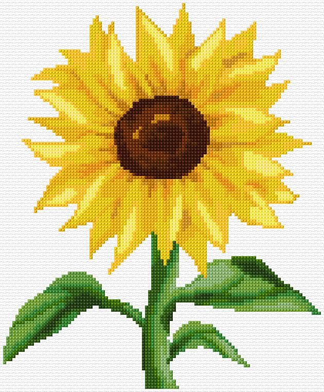 Sunflower free cross-stitch pattern