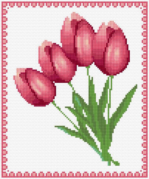 Tulips free cross-stitch pattern