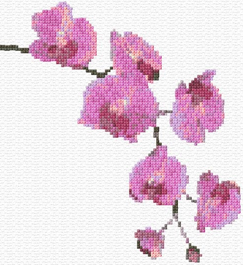 Orchid Flowers free cross-stitch pattern