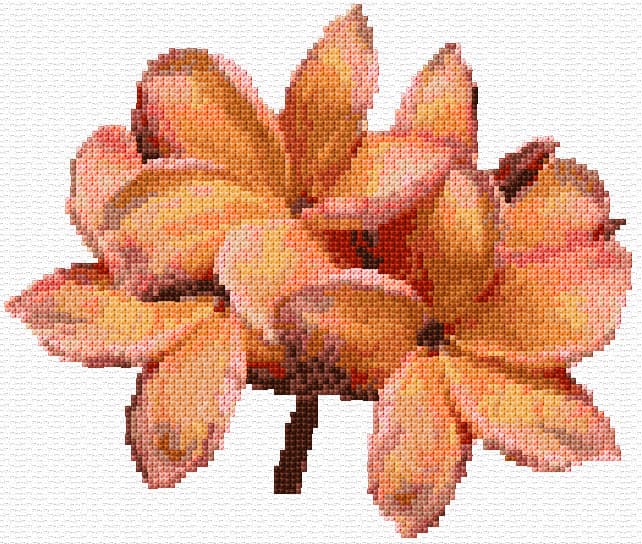 Frangipani Flowers free cross-stitch pattern