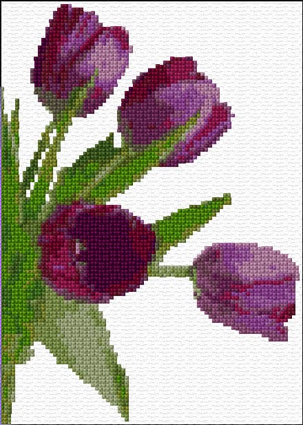 Purple Tulips free cross-stitch pattern