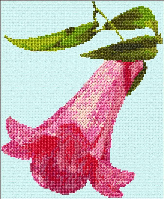 Copihue Flower free cross-stitch pattern