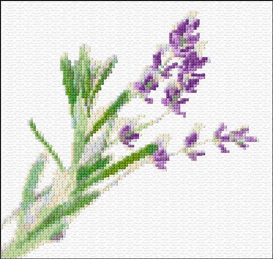 Lavender free cross-stitch pattern