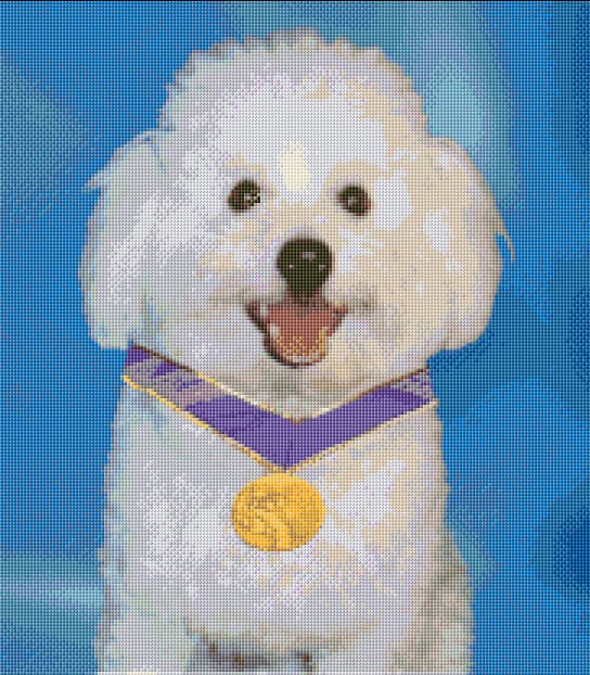 Noble Poodle free cross-stitch pattern