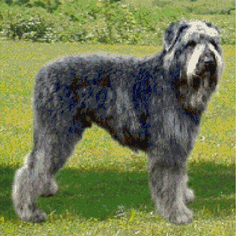 Bouvier des Flandres free cross-stitch pattern
