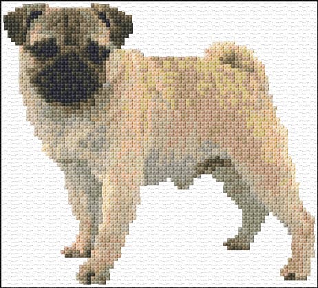 Pug Dog free cross-stitch pattern