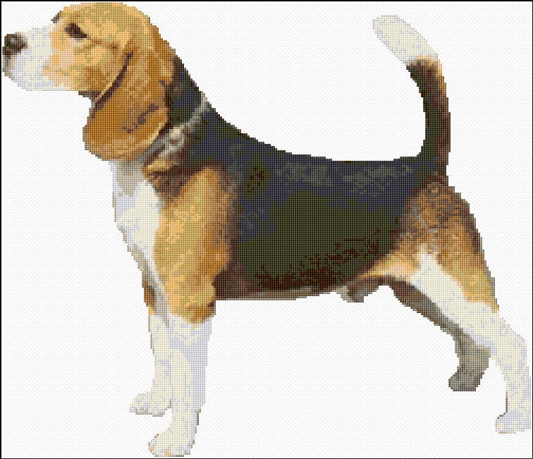 Beagle free cross-stitch pattern