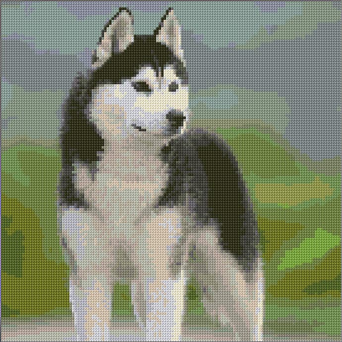 Siberian Husky Dog free cross-stitch pattern