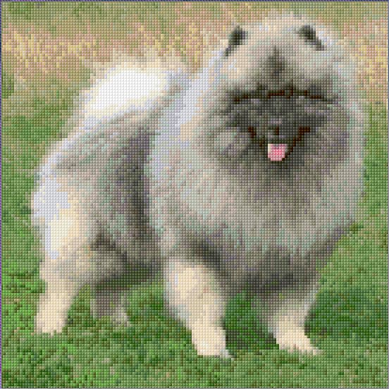 Keeshond free cross-stitch pattern