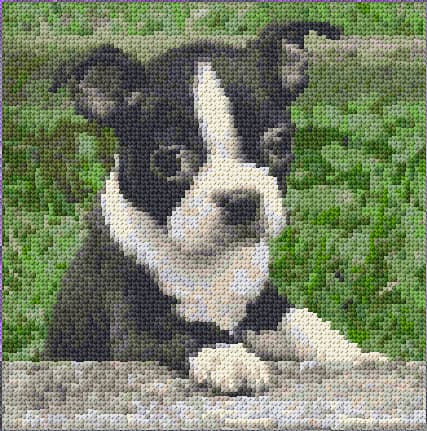Boston Terrier free cross-stitch pattern