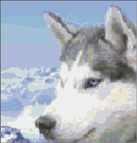 Siberian Husky free cross-stitch pattern