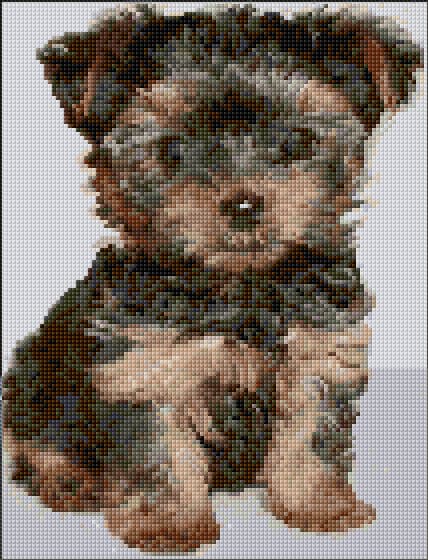 Yorkshire Terrier free cross-stitch pattern