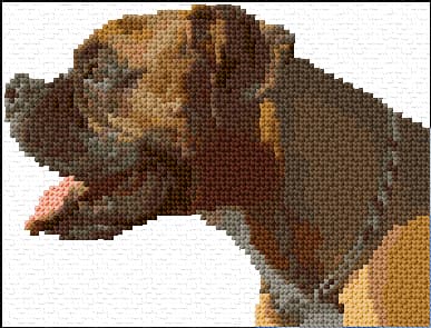 Boxer free cross-stitch pattern