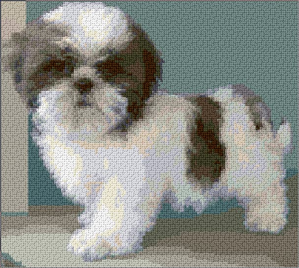 Shih Tzu free cross-stitch pattern