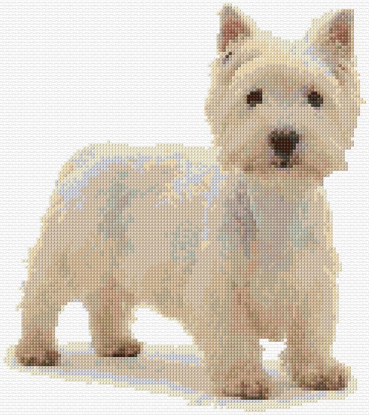 West Highland Terrier free cross-stitch pattern