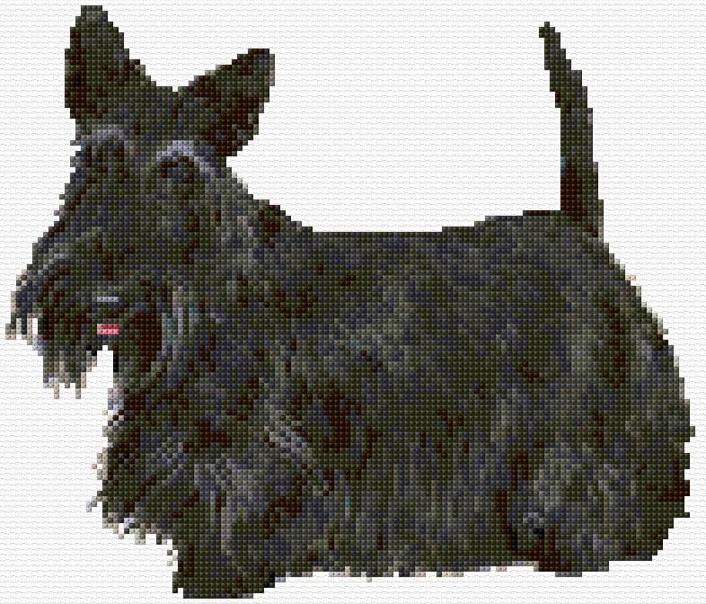 Scottish Terrier free cross-stitch pattern