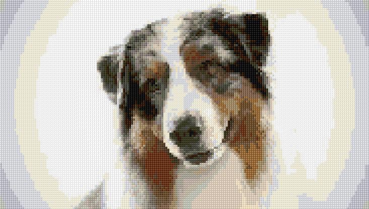Australian Shepherd free cross-stitch pattern