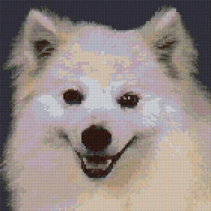Eskimo Dog free cross-stitch pattern