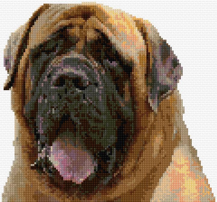 English Mastiff free cross-stitch pattern