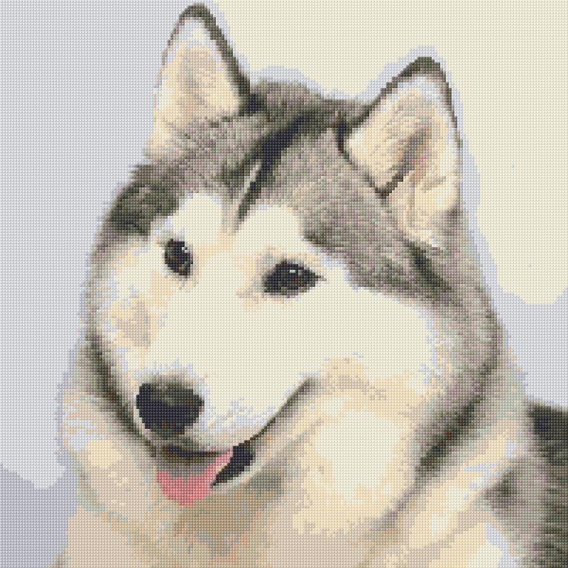 Siberian Husky free cross-stitch pattern
