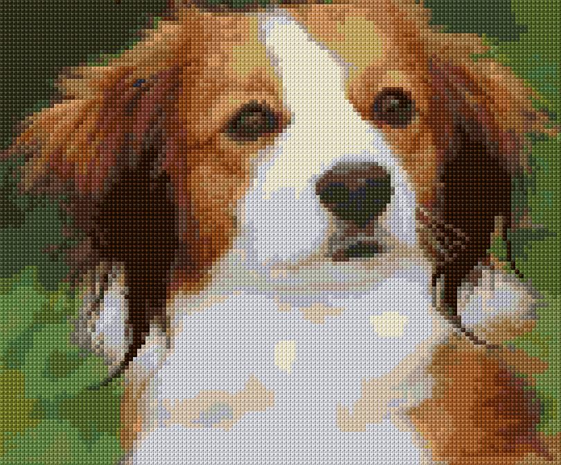 Kooiker free cross-stitch pattern