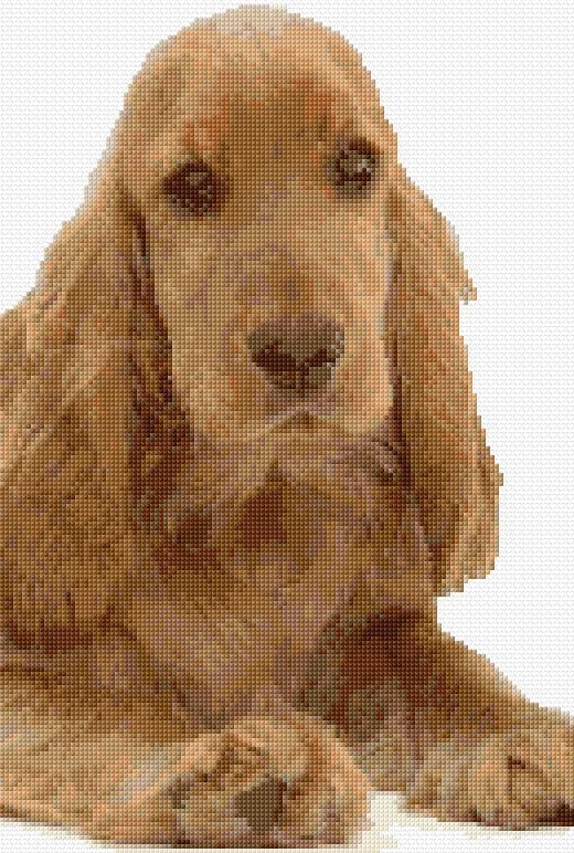 English Spaniel free cross-stitch pattern