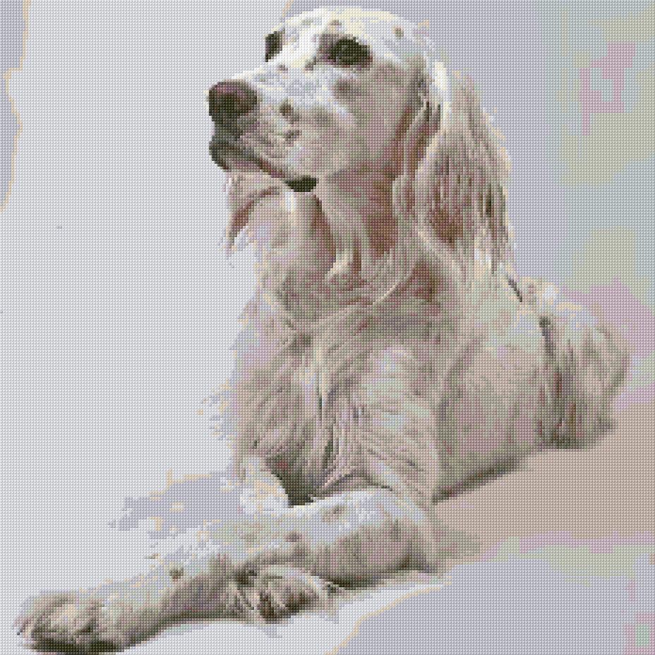 English Setter free cross-stitch pattern
