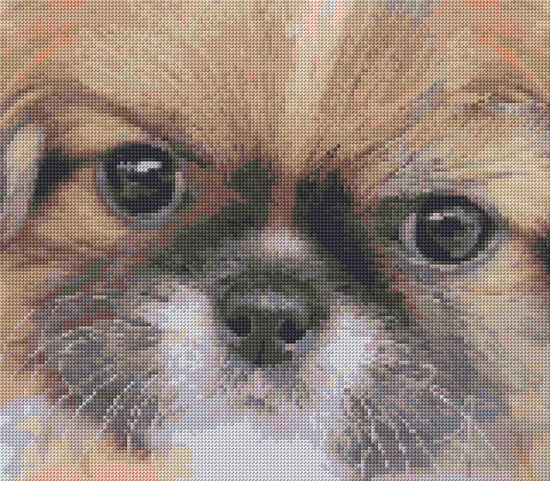 Pekingese free cross-stitch pattern