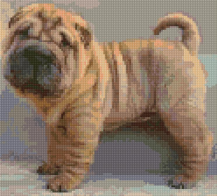 Shar Pei free cross-stitch pattern